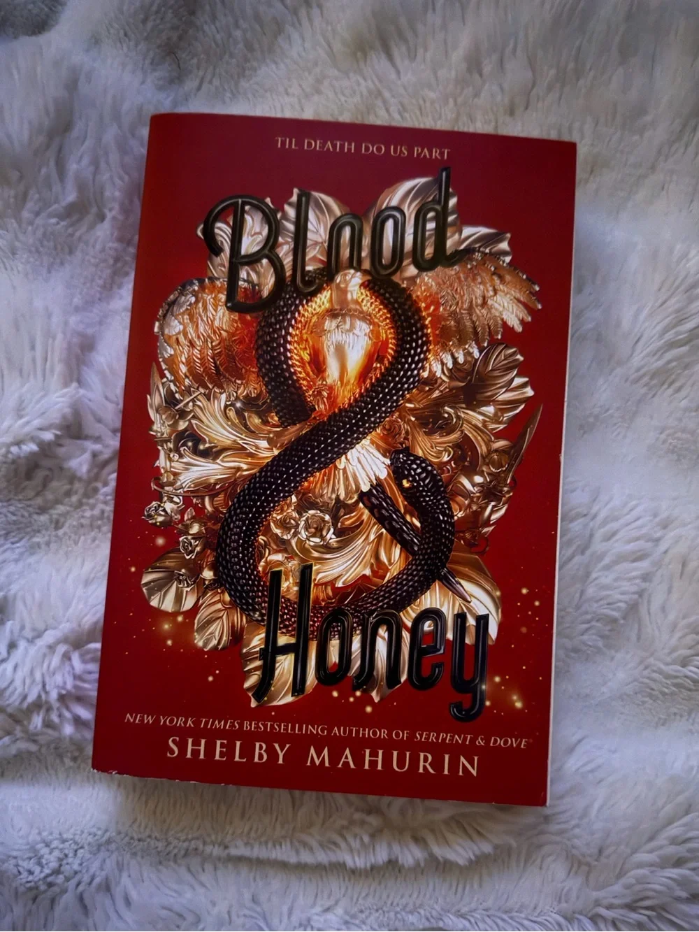 Blood & Honey - Shelby Mahurin
